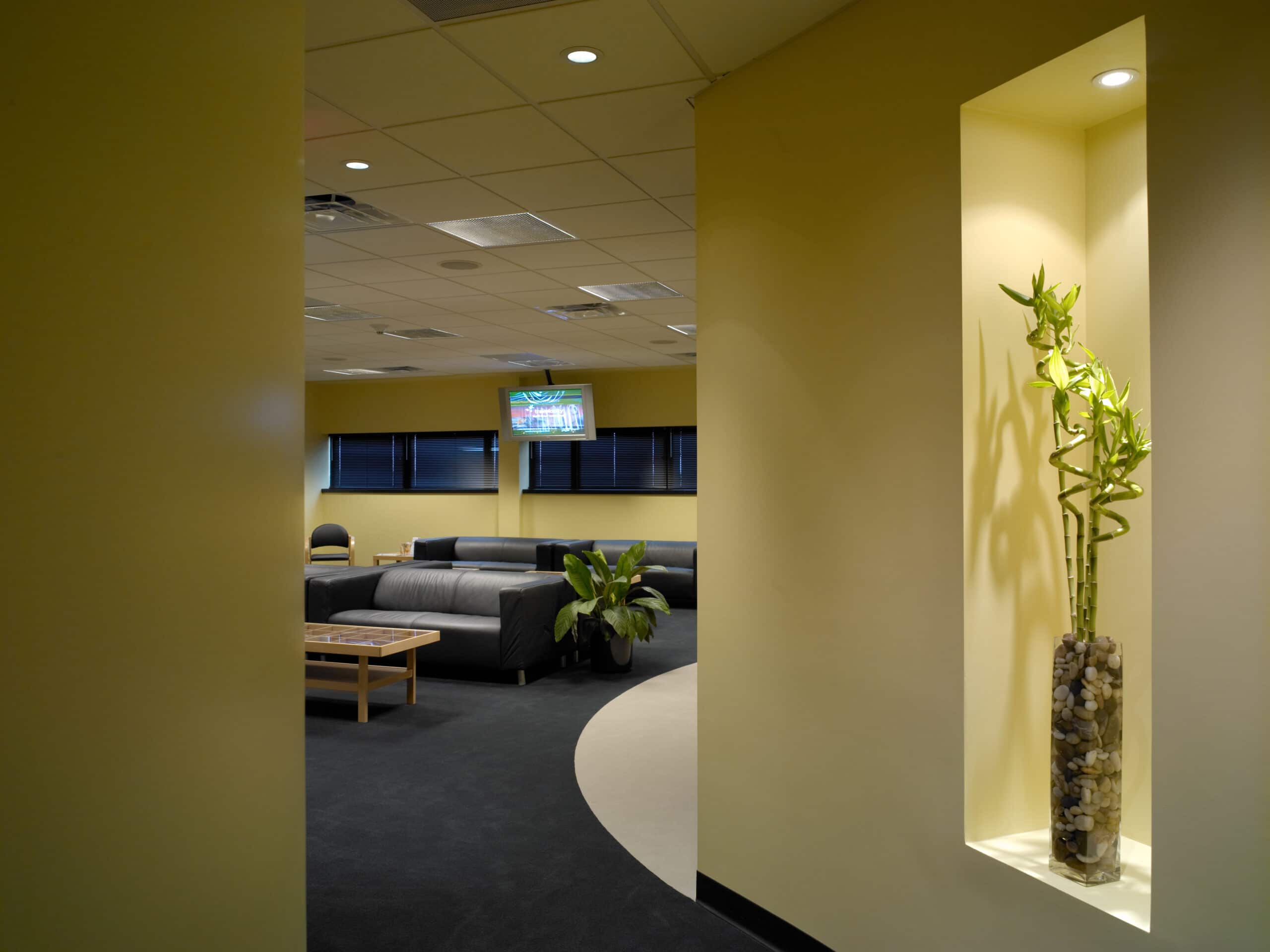 BuckleyLasik-051.tif-03842-2